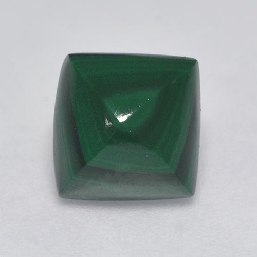 Pine Green Малахит Камень - 2.2ct Квадратный Кабошон (ID: 527577)