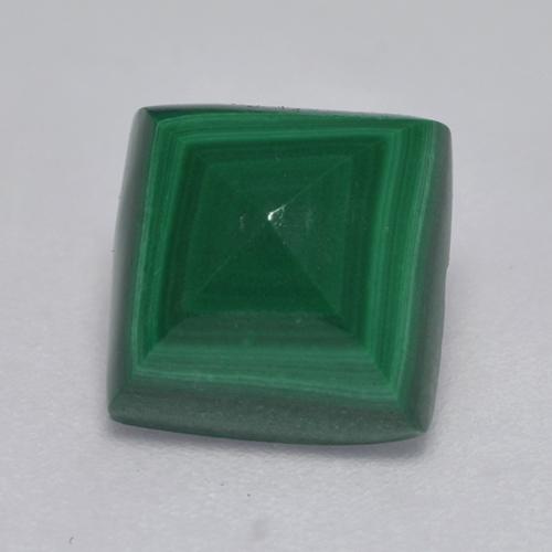 Pine Green Malachite Gem - 3.7ct Square Sugarloaf Cabochon (ID: 527585)