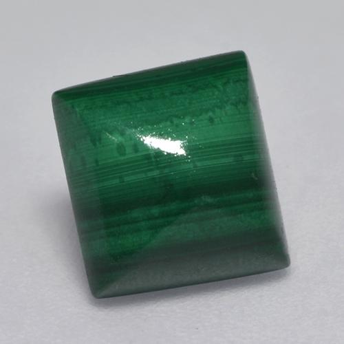 Vert multicolore Malachite gemme - 3.8ct Cabochon de pain de sucre carré (ID: 527588)