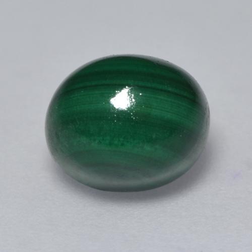 Medium Green Malachite Gem - 3.6ct Oval Cabochon (ID: 528101)