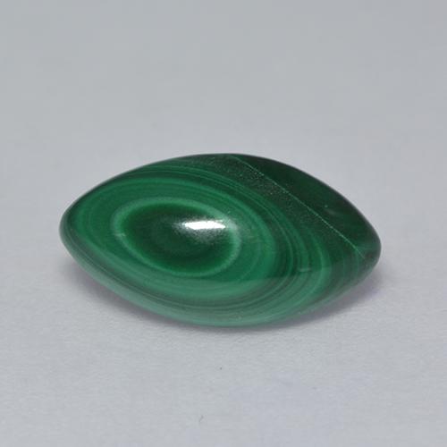 Medium Green Malachite Gem - 3.3ct Marquise Cabochon (ID: 528105)