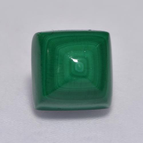 Medium Green Malachite Gem - 4.1ct Square Sugarloaf Cabochon (ID: 528261)