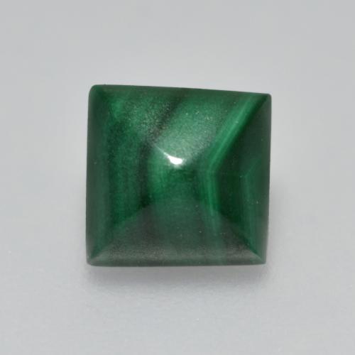 Verde medio Malaquita Gema - 2ct Cabujón Sugarleaf cuadrado (ID: 559022)