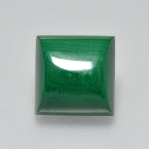 Medium Green Малахит Камень - 2.5ct Квадратный Кабошон (ID: 559023)
