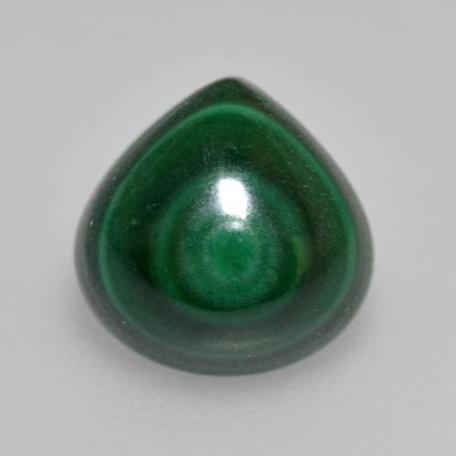 Medium Green Malachite Gem - 2.9ct Pear Cabochon (ID: 559209)