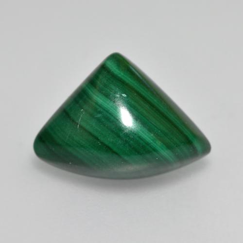 Medium Green Malachite Gem - 4.8ct Trillion Cabochon (ID: 559215)
