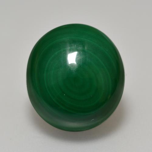 Pine Green Malachite Gem - 12.3ct Oval Cabochon (ID: 559452)