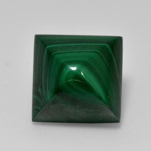 Dark Green Malachite Gem - 12.9ct Square Sugarloaf Cabochon (ID: 559477)