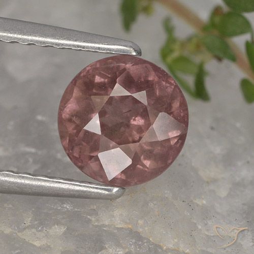 Deep Pink Malaya Garnet Gem - 1.5ct Round Facet (ID: 495900)