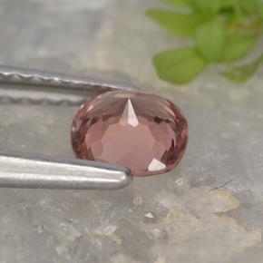 Malaya Garnet Gemstone in 4.9 x 4.9 mm Size for Sale, Malaya Garnet Stone in Orange Pink Color