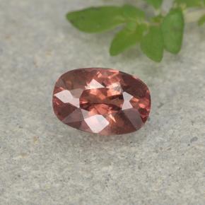 Brick Red Malaya Garnet Gem - 0.6ct Cushion-Cut (ID: 498925)