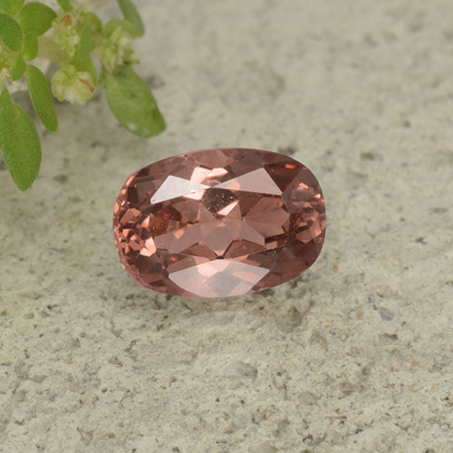 Warm Red Malaya Garnet Gem - 0.7ct Cushion-Cut (ID: 499020)