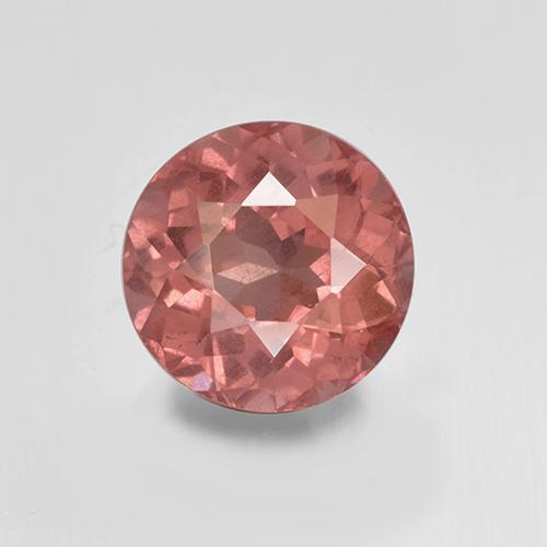 Medium Pink Malaya Garnet Gem - 1.9ct Round Facet (ID: 504936)