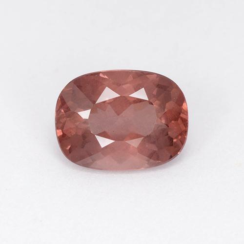 Brick Red Malaya Garnet Gem - 2ct Cushion-Cut (ID: 504939)