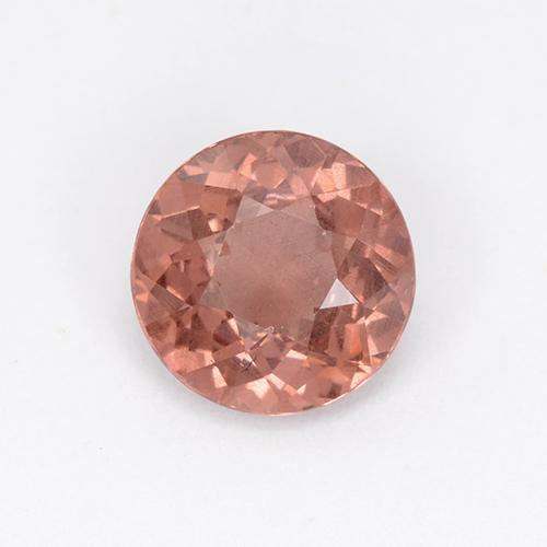 Medium Pink Malaya Garnet Gem - 1.9ct Round Facet (ID: 504940)