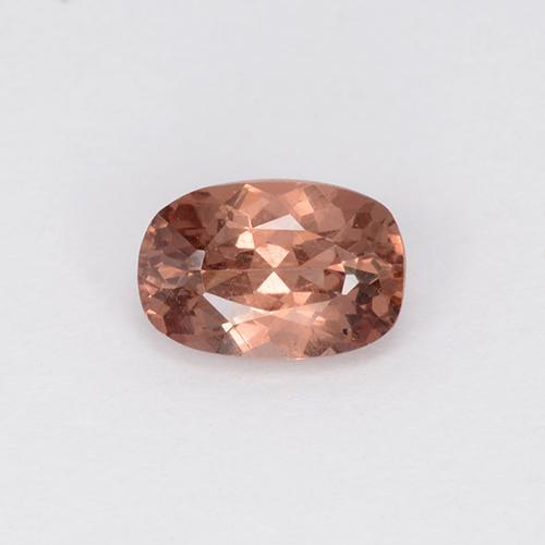 Grapefruit Pink Malaya Garnet Gem - 0.6ct Cushion-Cut (ID: 505076)
