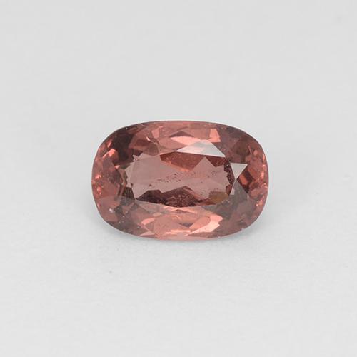 Indian Red Malaya Garnet Gem - 0.7ct Cushion-Cut (ID: 505078)