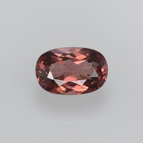 0.56 ct Orange Malaya Garnet Gemstone, Malaya Garnet Gem in Oval Facet Shape for Sale.