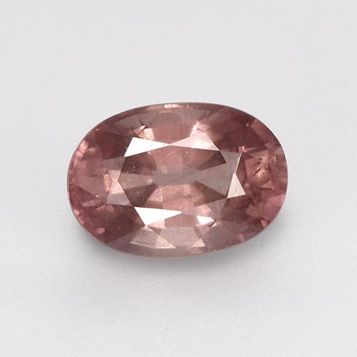 Light Rosewood Pink Malaya Garnet Gem - 0.8ct Oval Facet (ID: 516130)