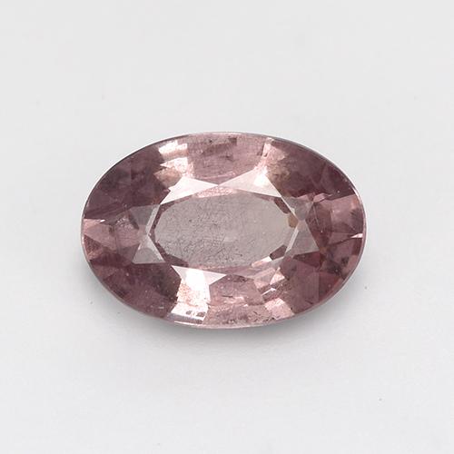 Deep Rosewood Pink Malaya-Granat Edelstein - 0.6ct Oval facettiert (ID: 516131)