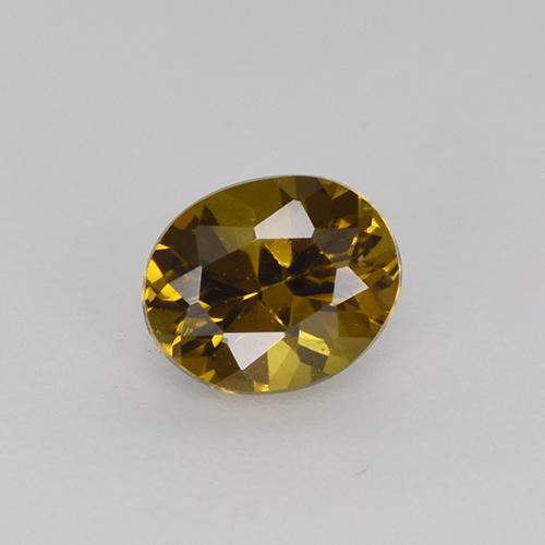 Marrón cálido Mali Granate Gema - 0.5ct Forma ovalada (ID: 511798)