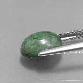 Maw-Sit-Sit Gemstone in 9.4 x 7.4 mm Size for Sale, Maw-Sit-Sit Stone in Green Color