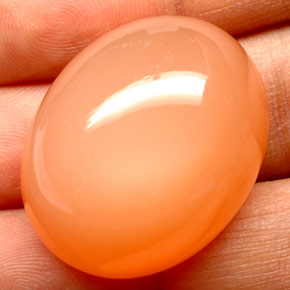 68.02 ct Orange Moonstone Stone, Natural Moonstone in Oval Cabochon Shape for Sale
