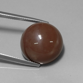 20.19 ct Brown Moonstone Gemstone, Moonstone Gem in Round Cabochon Shape for Sale.