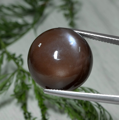 Pecan Brown Moonstone Gem - 26.2ct Round Cabochon (ID: 214911)