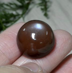 26.22 ct Brown Moonstone Stone, Natural Moonstone in Round Cabochon Shape for Sale