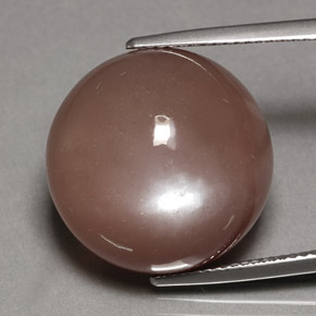 24.70 ct Brown Moonstone Stone, Natural Moonstone in Round Cabochon Shape for Sale