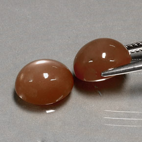 Moonstone Gemstone in 10 x 8 mm (calibrated) Size for Sale, Moonstone Stone in Mocha Orange Color