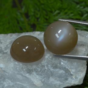 33.03 ctw Brown Moonstone Gemstones, Moonstone Gems in Round Cabochon Shape for Sale.