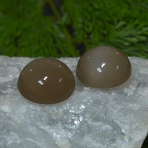33.03 ctw Brown Moonstone Stones, Natural Moonstone in Round Cabochon Shape for Sale