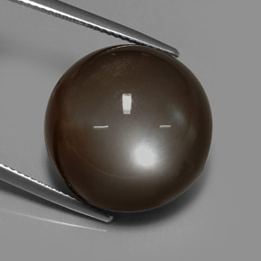 30.64 ct Brown Moonstone Stone, Natural Moonstone in Round Cabochon Shape for Sale
