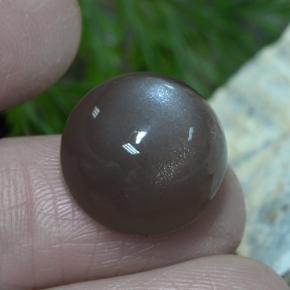 12.26 ct Brown Moonstone Gemstone, Moonstone Gem in Round Cabochon Shape for Sale.