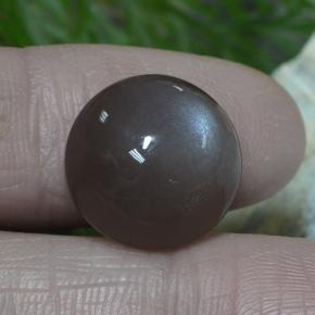 12.26 ct Brown Moonstone Stone, Natural Moonstone in Round Cabochon Shape for Sale