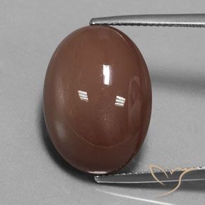18.34 ct Brown Moonstone, 20.1 x 15.2 mm Oval Cut From India, Photo A