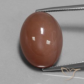 23.67 ct Brown Moonstone, 20.1 x 15.1 mm Oval Cut From India, Photo A