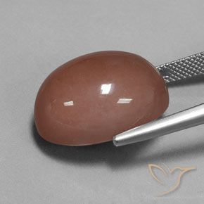 Moonstone Gemstone in 20 x 15 mm (calibrated) Size for Sale, Moonstone Stone in Medium Brown Color