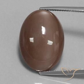 23.78ct Natural Medium Brown Moonstone, Oval, Opaque