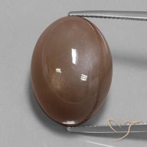 Pietra di luna marrone da 36,79 ct, taglio ovale da 22 x 16,2 mm proveniente dall'India, Photo A