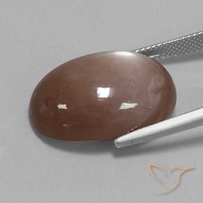 Moonstone Gemstone in 22.1 x 16.2 mm Size for Sale, Moonstone Stone in Medium Brown Color
