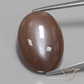 22.15ct Natural Espresso Brown Moonstone, Oval, Opaque