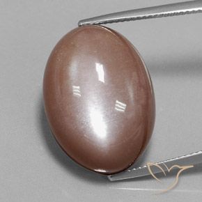 28.75 ct Brown Moonstone, 22.1 x 16.2 mm Oval Cut From India, Photo A