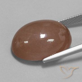 Moonstone Gemstone in 22.3 x 16.1 mm Size for Sale, Moonstone Stone in Medium Brown Color