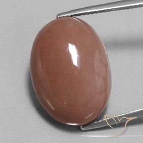 25.17ct Natural Warm Brown Moonstone, Oval, Opaque