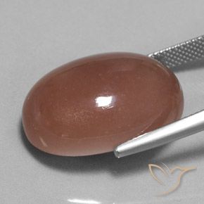 Moonstone Gemstone in 22.1 x 16 mm Size for Sale, Moonstone Stone in Warm Brown Color