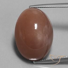 25.38ct Natural Brown Moonstone, Oval, Opaque
