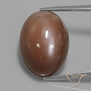 31.30ct Natural Warm Brown Moonstone, Oval, Opaque